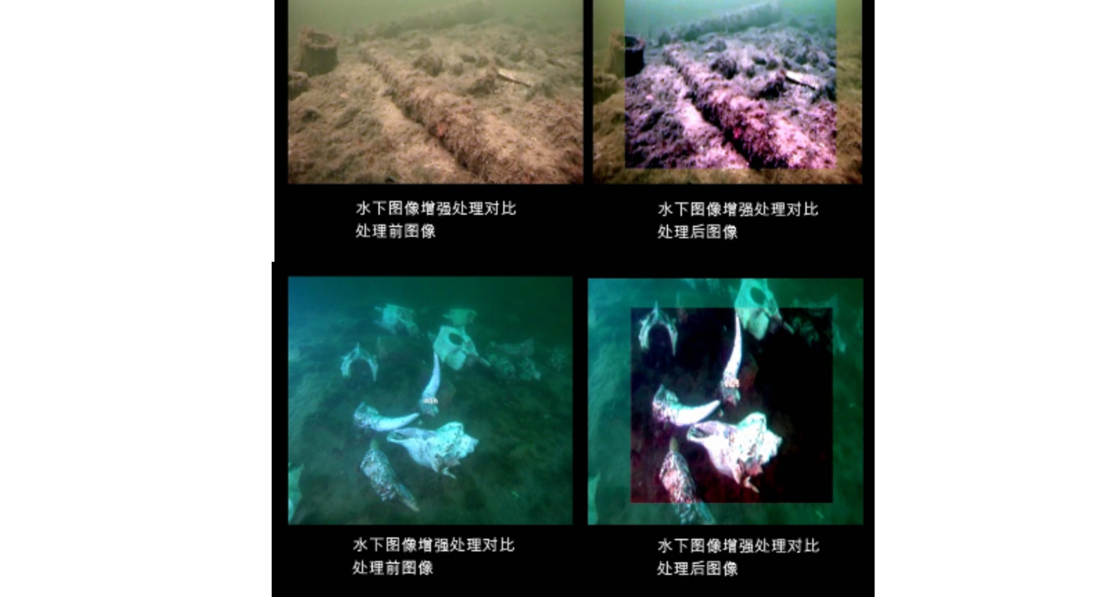 便携式动态数码实时视频图像增强处理器
